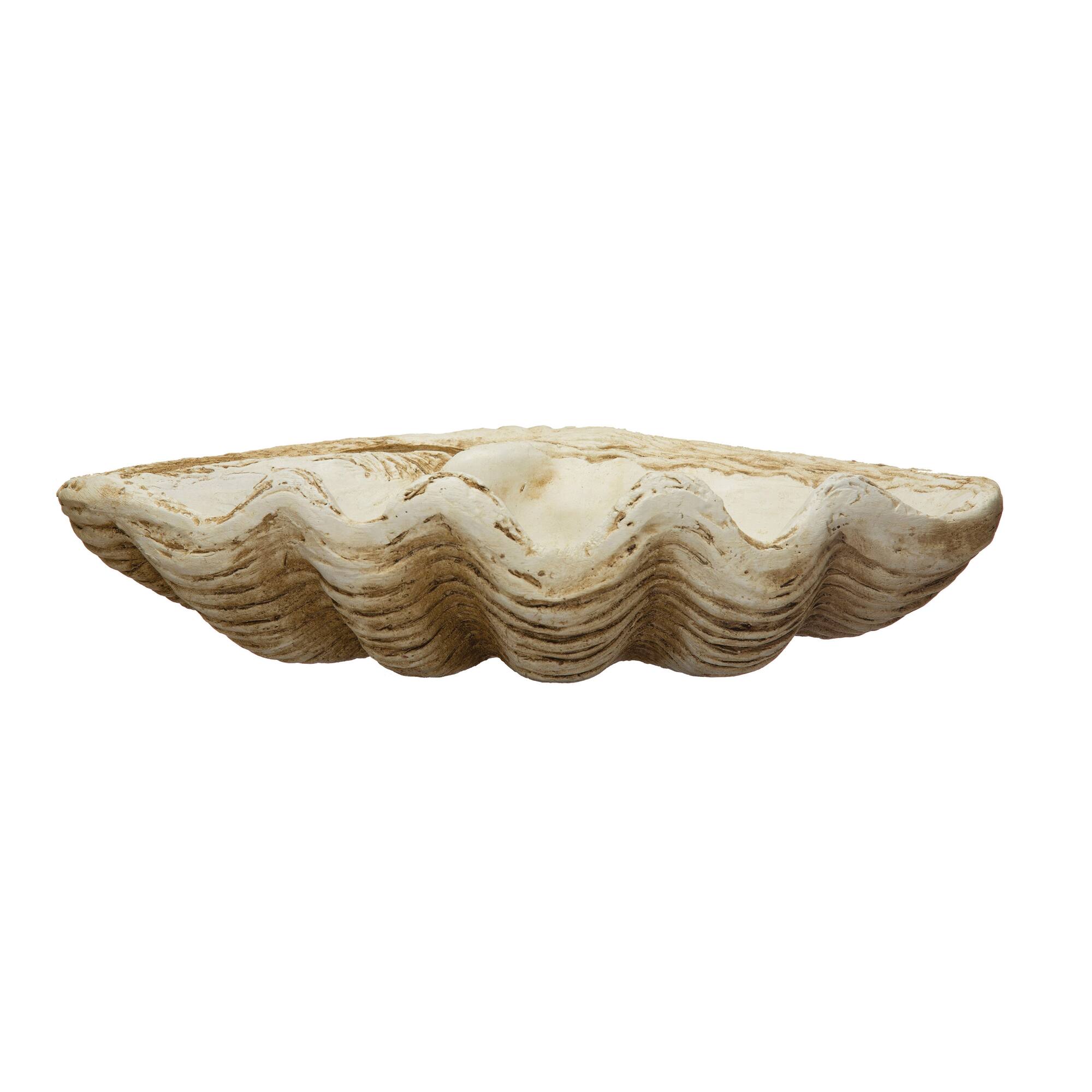 Hello Honey® 16.5" Natural Coastal Decorative Magnesia Clamshell